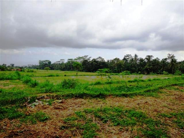 land for sale in ubud bali