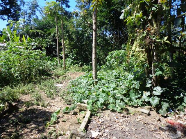 land for sale in ubud bali
