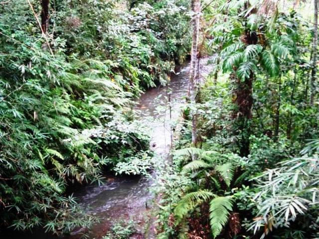 land for sale in ubud bali