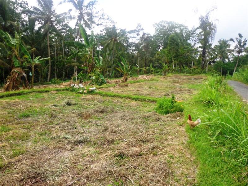 land for sale in ubud bali