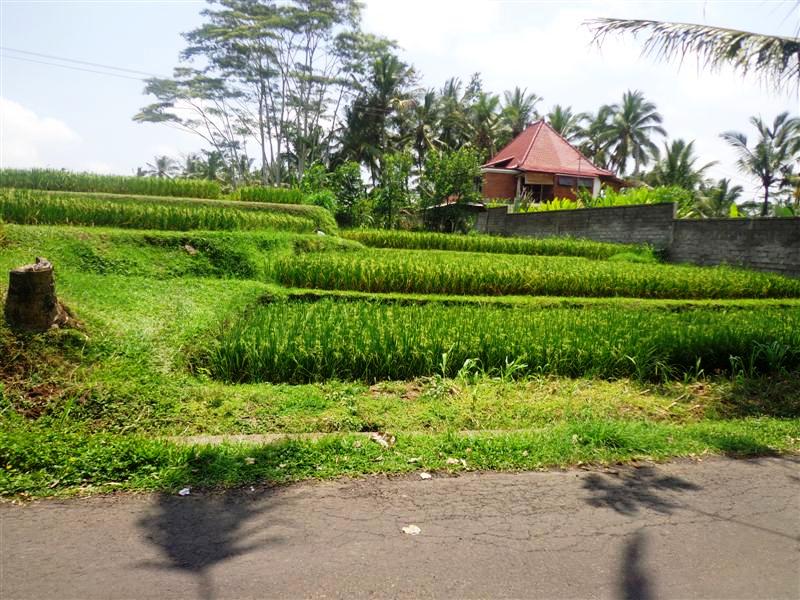 Land for sale in Ubud Bali