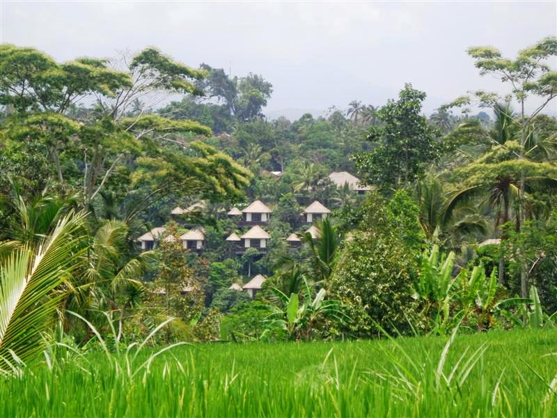 Land for sale in Ubud Bali