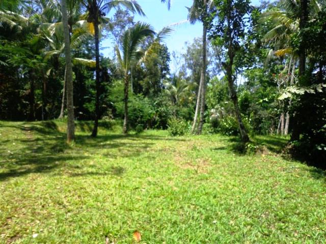 Land for sale in Ubud Bali