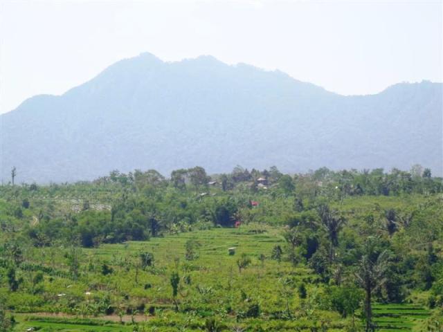 Land for sale in Ubud Bali
