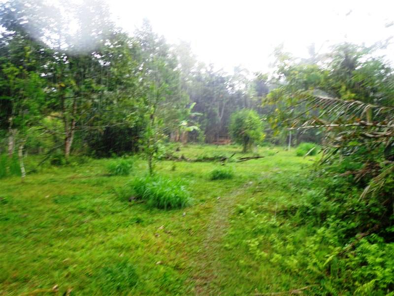 Land for sale in Ubud Bali