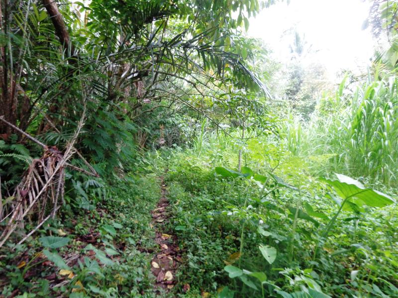 Land for sale in Ubud