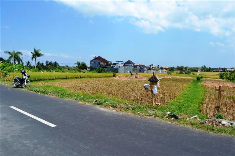 land for sale in canggu bali