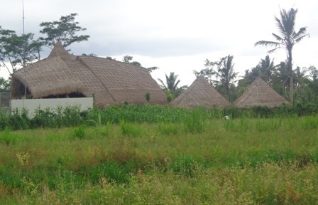 Land for sale in Ubud