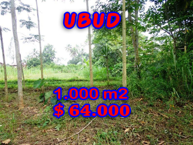 Ubud-Land-for-sale