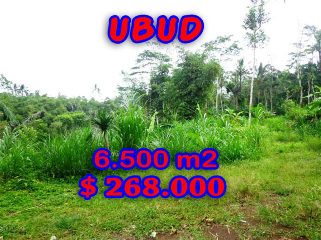 Land sale in Ubud
