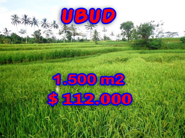 Land for sale in Ubud Bali