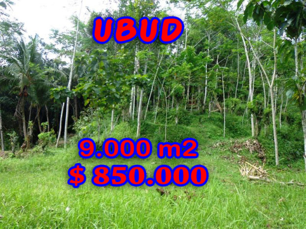 land for sale in Ubud Bali