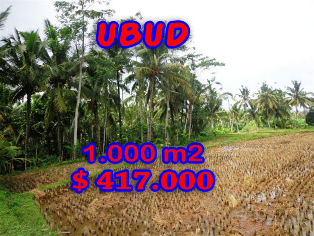 Land for sale in Ubud