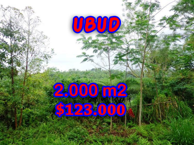 Land-for-sale-in-Ubud