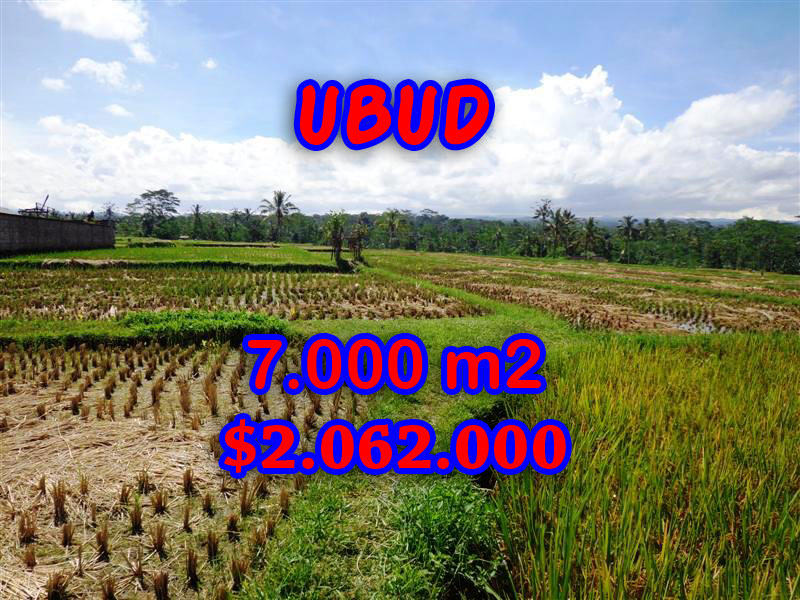 Land-for-sale-in-Bali