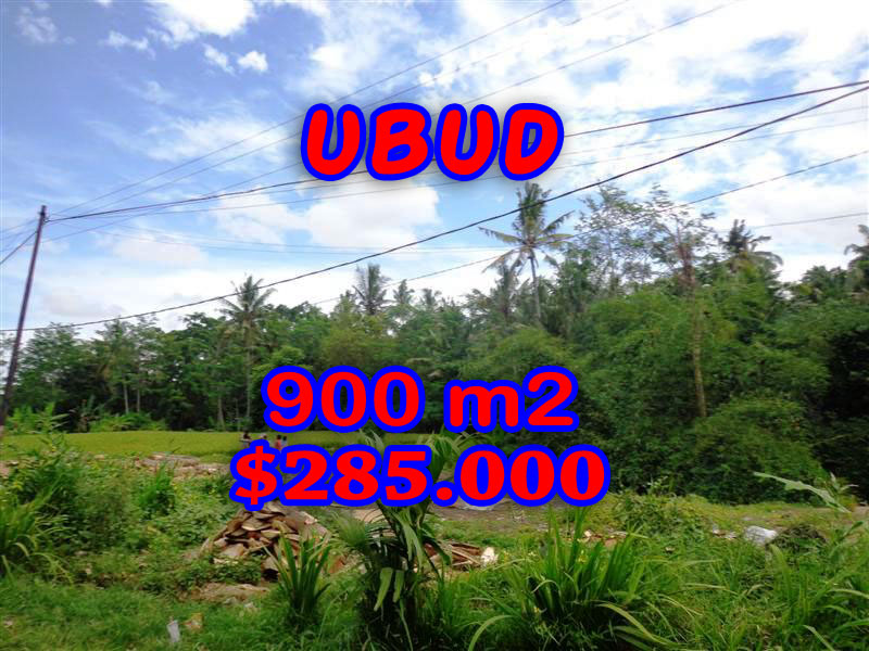 Land-in-Canggu-for-sale