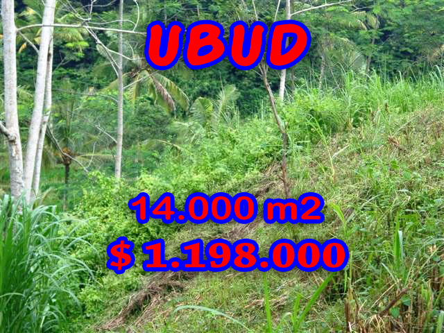 Ubud Land for sale