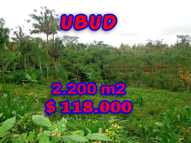 Land for sale in Ubud Bali