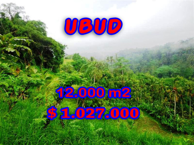 Land sale in Ubud Bali