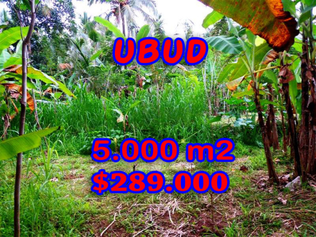 Land-for-sale-in-Ubud-land
