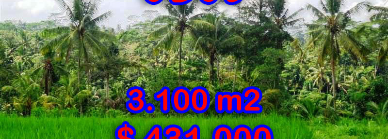 Ubud-Land-for-sale