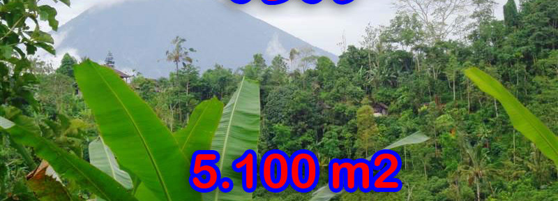 Land-sale-in-Ubud