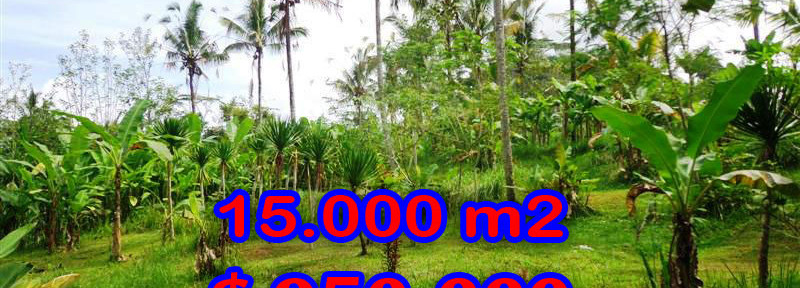 Land-in-Ubud-Bali-for-sale