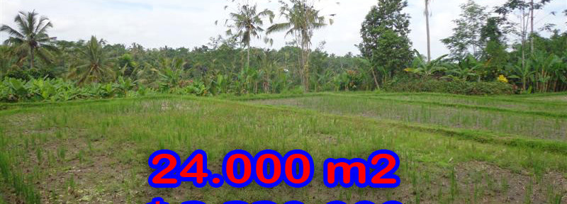 Land-sale-in-Ubud-Bali