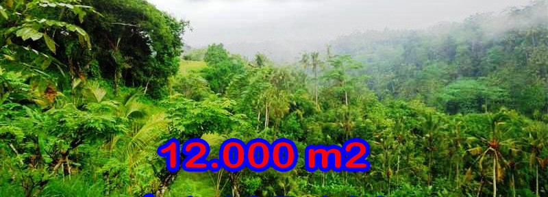 Land-for-sale-in-Ubud-land
