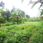 Land for sale in Ubud Bali