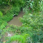 Land for sale in Ubud Bali