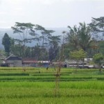 For sale land in Ubud Bali
