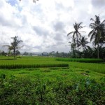 For sale land in Ubud Bali