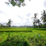 For sale land in Ubud Bali