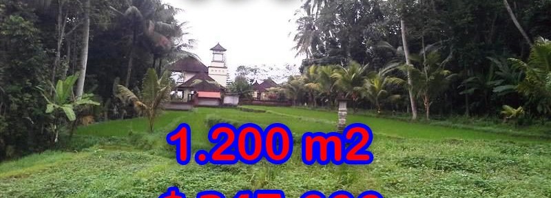 Land in Ubud Bali for sale