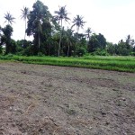 Land for sale in Ubud Bali