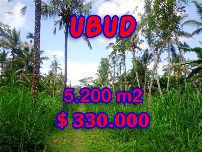 LAND FOR SALE IN UBUD