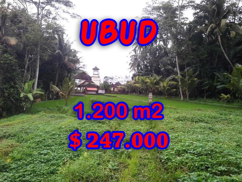 LAND IN UBUD FOR SALE
