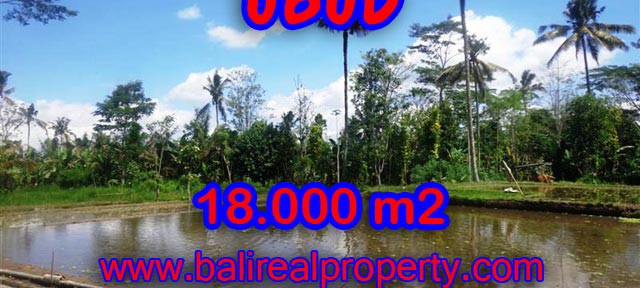 Land sale in Ubud Bali