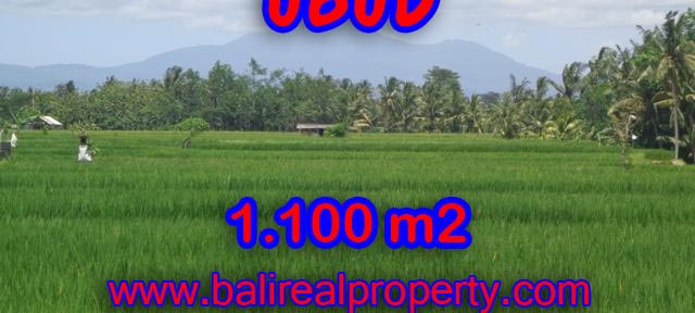 Land for sale in Ubud, Fantastic view in Central Ubud Bali – TJUB354