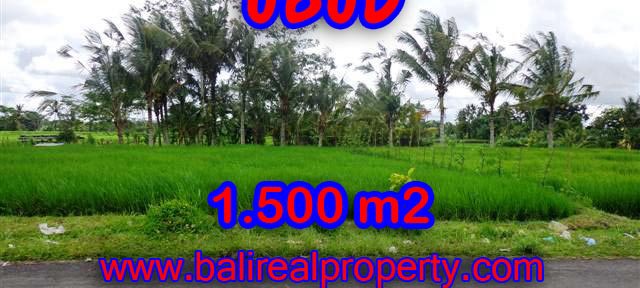 Interesting Land for sale in Ubud Bali, Beautiful Mountain and Paddy view in Ubud Tampak siring– TJUB369