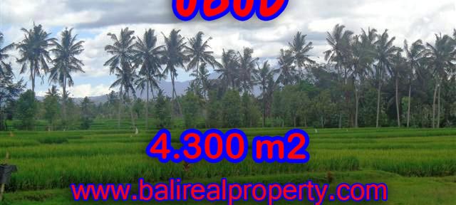 Land for sale in Ubud Bali, Wonderful view in Ubud Center – TJUB370