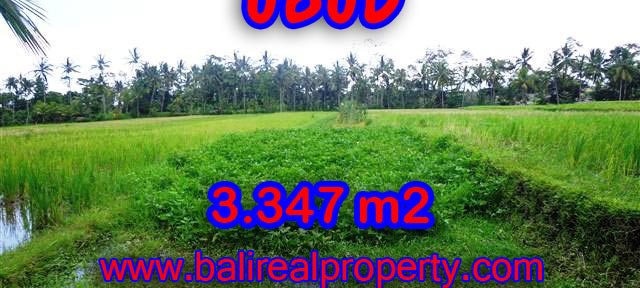 Land for sale in Bali, exceptional view in Ubud Center – TJUB380