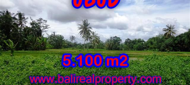 Land in Ubud for sale, Stunning view in Ubud Tegalalang Bali – TJUB368