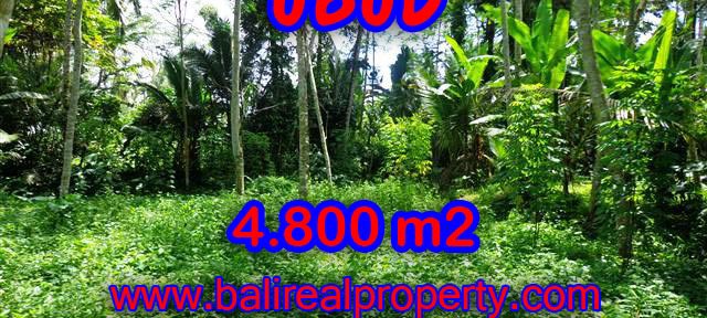 Land in Bali for sale, extraordinary view in Ubud Tegalalang – TJUB382