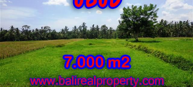 Land for sale in Bali, exotic view in Ubud Center Bali – TJUB381