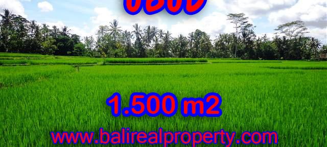 Land in Bali for sale, fantastic view in Ubud Bali – TJUB383