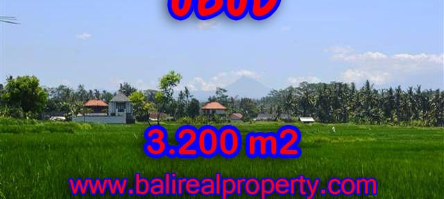 Land for sale in Bali, Fantastic view in Ubud Center – TJUB385