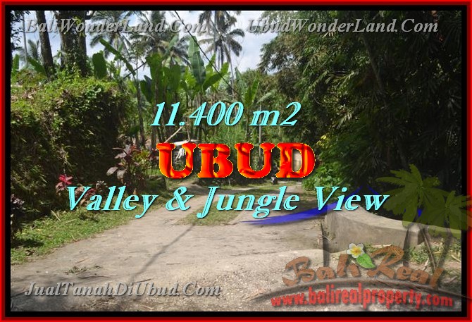 Land for sale in Ubud, Magnificent view in Ubud Payangan Bali – TJUB431