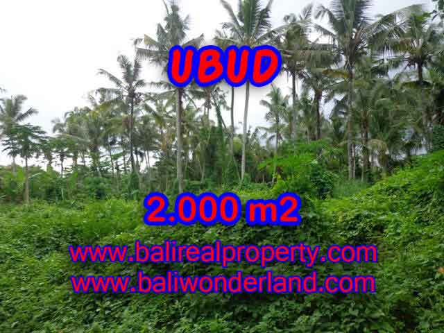 Wonderful Property in Bali for sale, land in Ubud Bali for sale – TJUB397